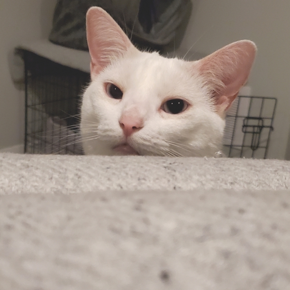 Welcome 🖤 To My Closet!